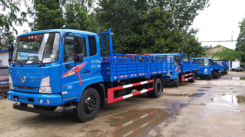 東風(fēng)天錦KS國六9米B2教練車圖片